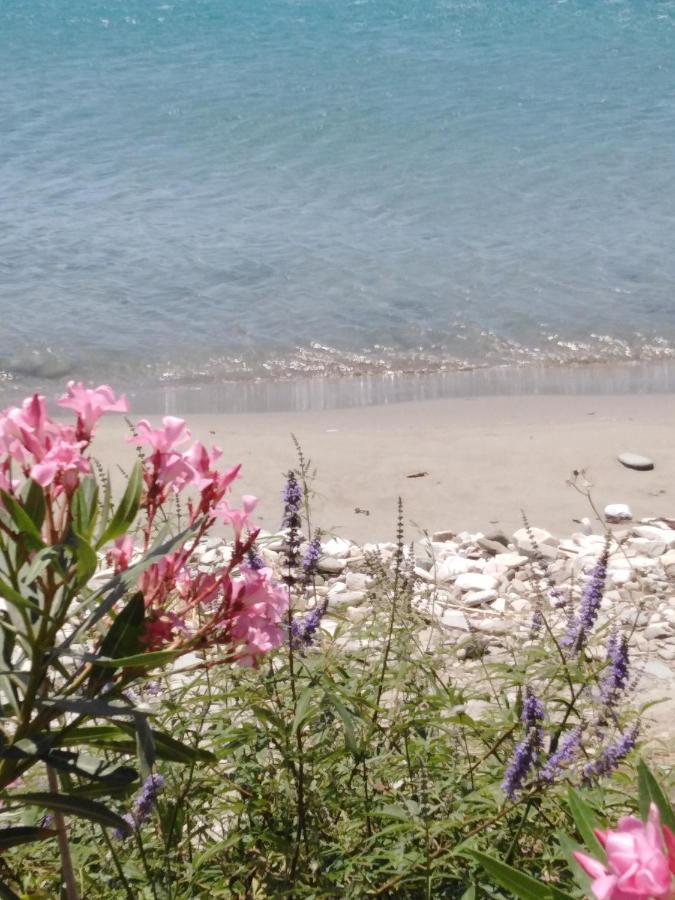 "Sea Front" Rose'S House Villa Kardhianí Dış mekan fotoğraf