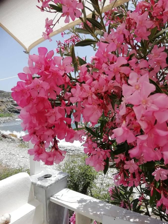 "Sea Front" Rose'S House Villa Kardhianí Dış mekan fotoğraf