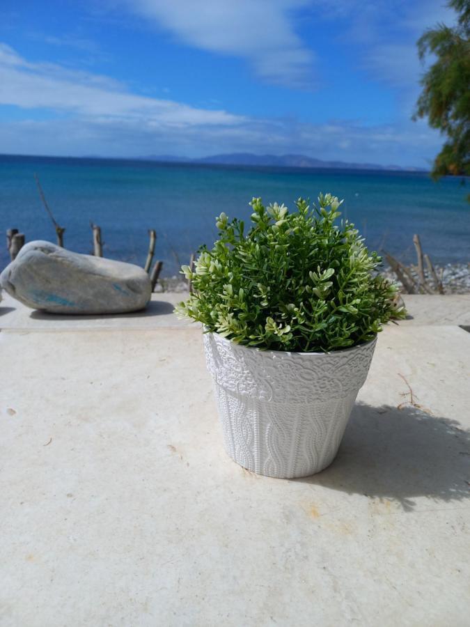 "Sea Front" Rose'S House Villa Kardhianí Dış mekan fotoğraf