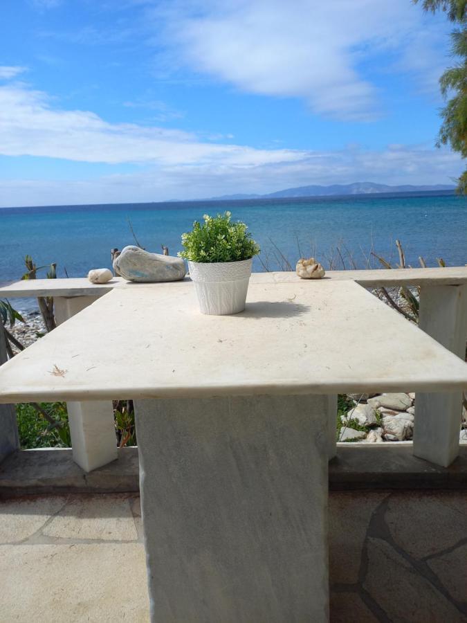 "Sea Front" Rose'S House Villa Kardhianí Dış mekan fotoğraf
