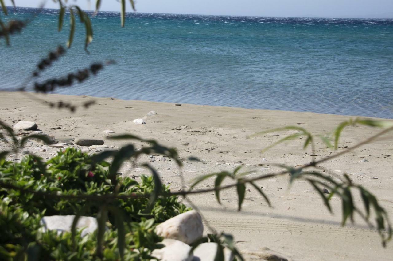 "Sea Front" Rose'S House Villa Kardhianí Dış mekan fotoğraf