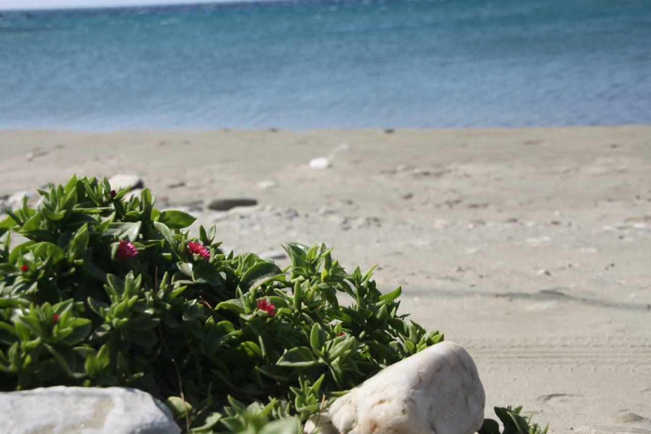 "Sea Front" Rose'S House Villa Kardhianí Dış mekan fotoğraf