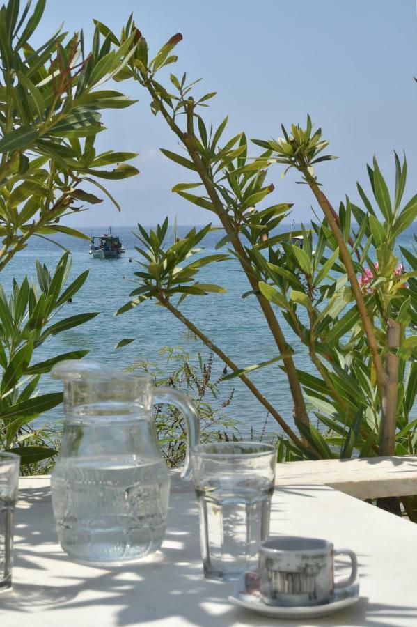 "Sea Front" Rose'S House Villa Kardhianí Dış mekan fotoğraf